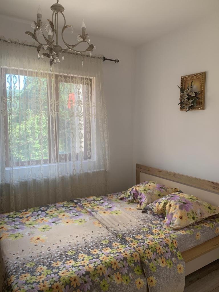 B House Szászbuda Kültér fotó